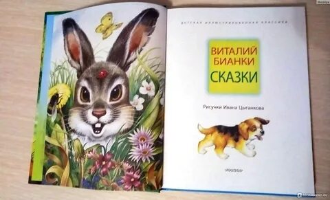 Сказки виталия бианки