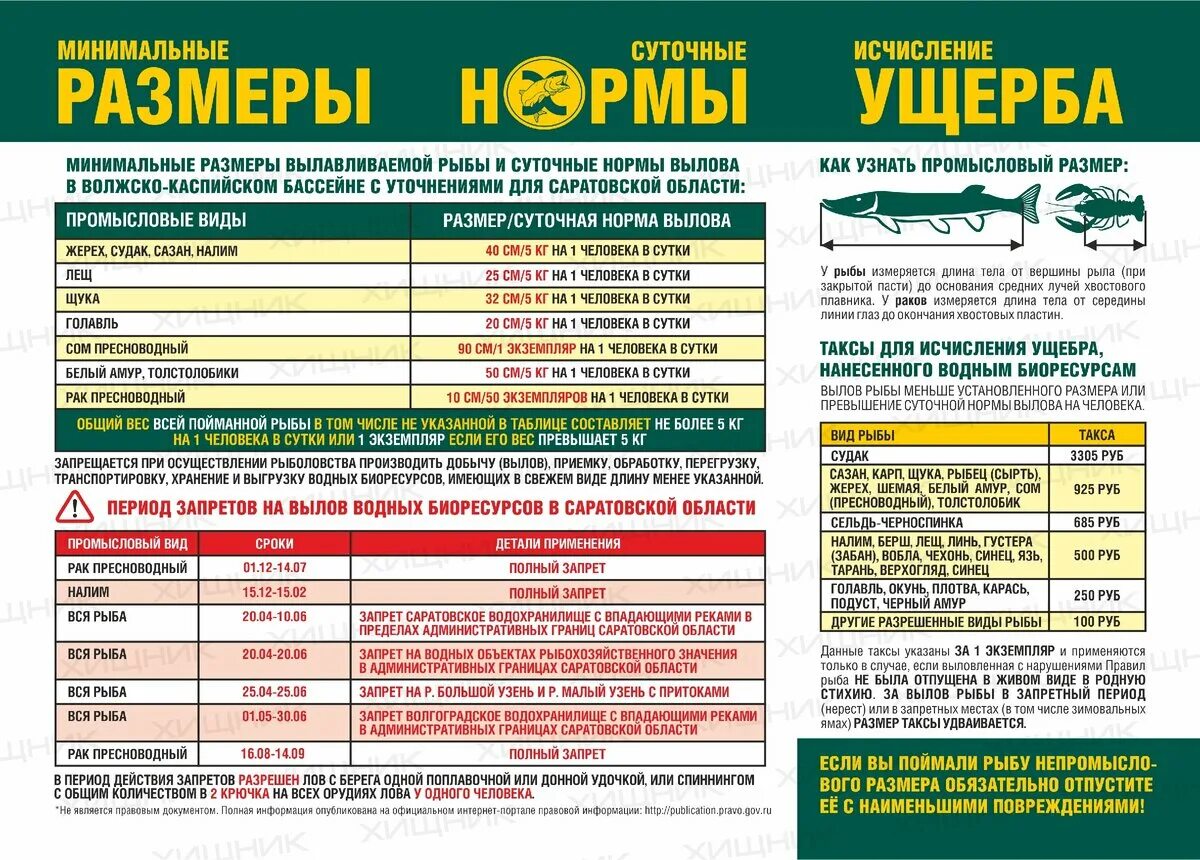 Сколько штраф за ловлю