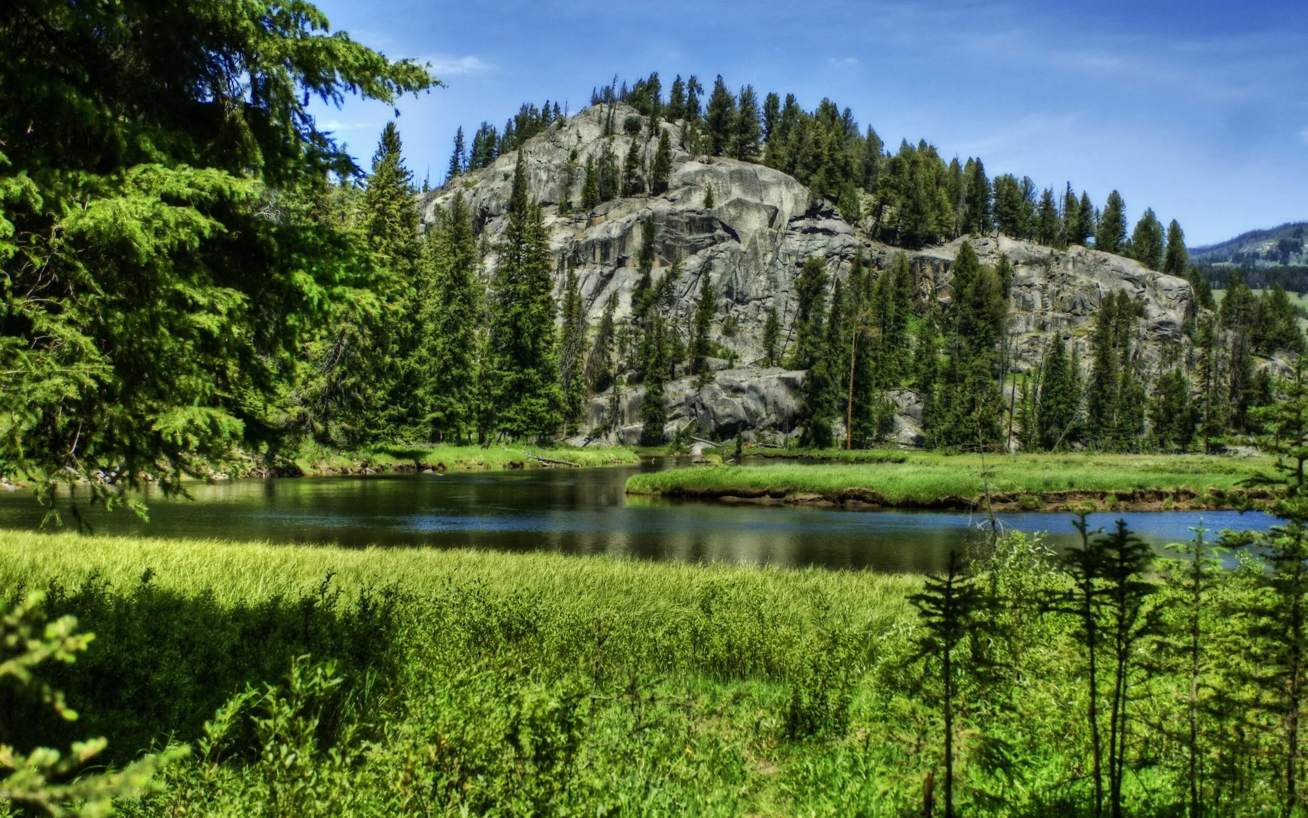 Зап 1 лярная природа. Йеллоустонский национальный парк каменный лес. Баварский лес национальный парк. Лес у озера Урала. Лес горы Урал.