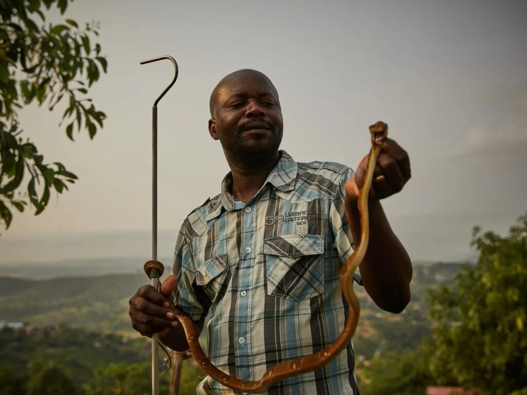 Мфо конго. Dr congo. конголезские джунгли. из конго. кевин из конго.