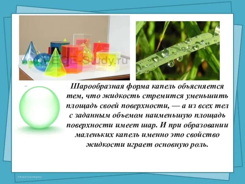 Это объясняется тем что имеет. Сферическая форма капли. шарообразная форма капли объясняется. почему форма маленьких капель шарообразна. сферическая форма капель объясняется.