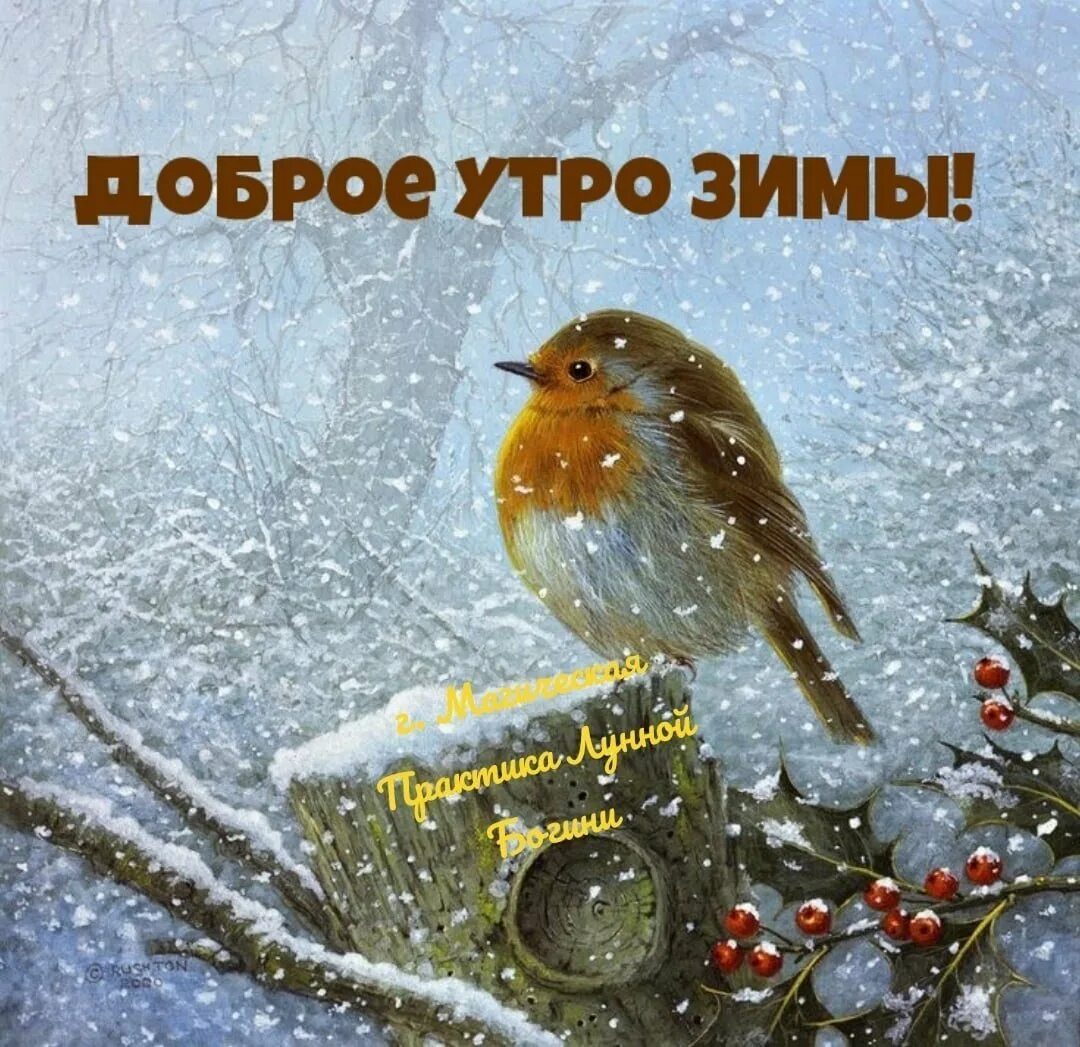 Зимние поздравления с добрым утром. Доброго зимнего дня. Зимние поздравления с добрым утром. Пожелания доброго зимнего утра. Открытки с добрым утром зимние.