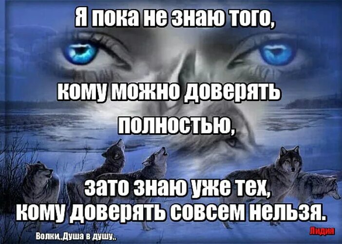 Нельзя доверять людям. Кому нельзя верить. Кому нельзя доверять. Волк нельзя верить. Нельзя доверие