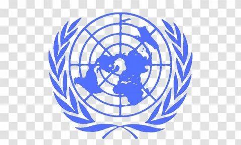 United nations high commissioner