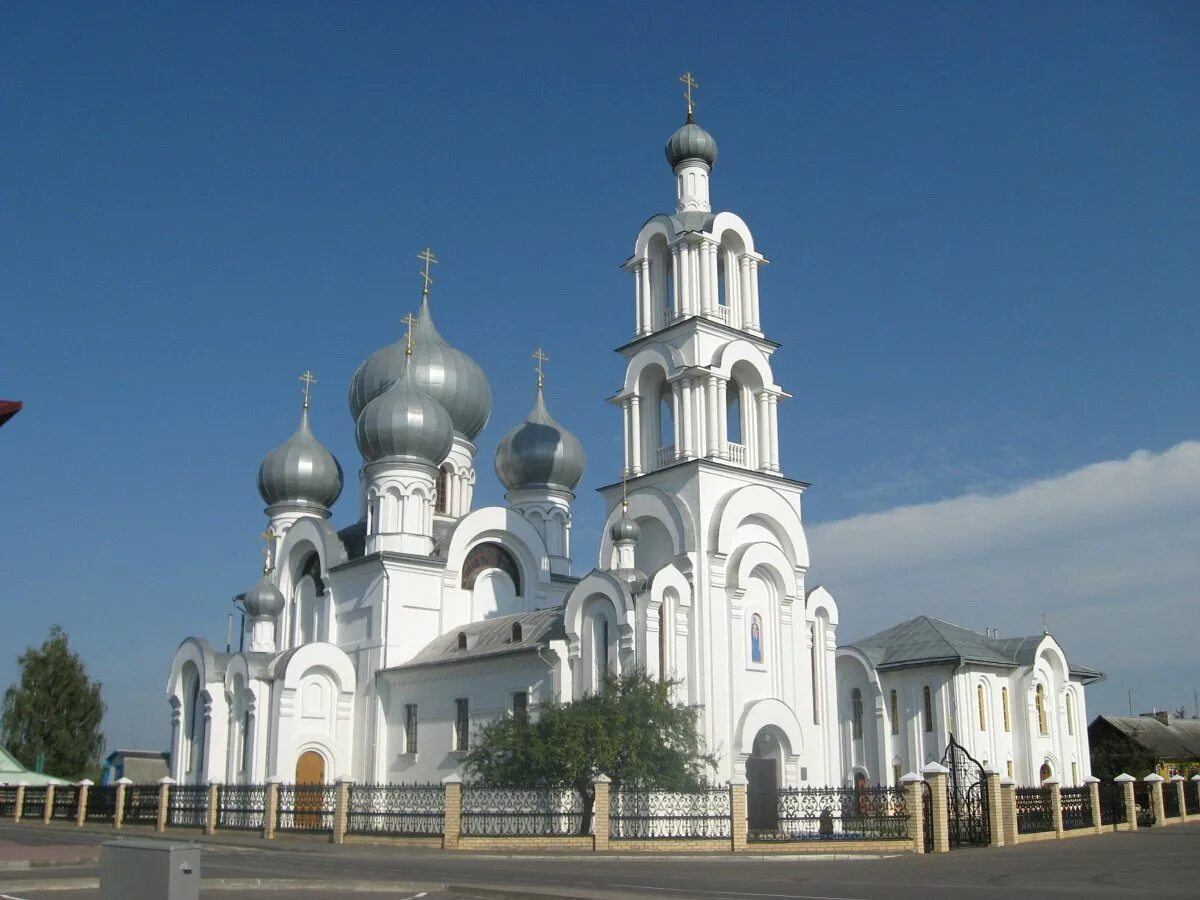 Город береза область. Петропавловский храм город береза. Город берёза Брестская область. Белоруссия город береза храм. Береза город в Беларуси достопримечательности.