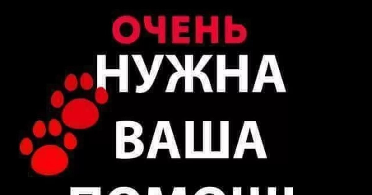 Помогите нужна помощь. Срочно нужна помощь. Нам очень нужна ваша помощь. Нужна помощь собаке. Слово помогает выжить