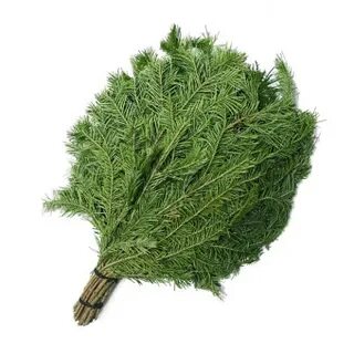 Пихтовый веник как использовать