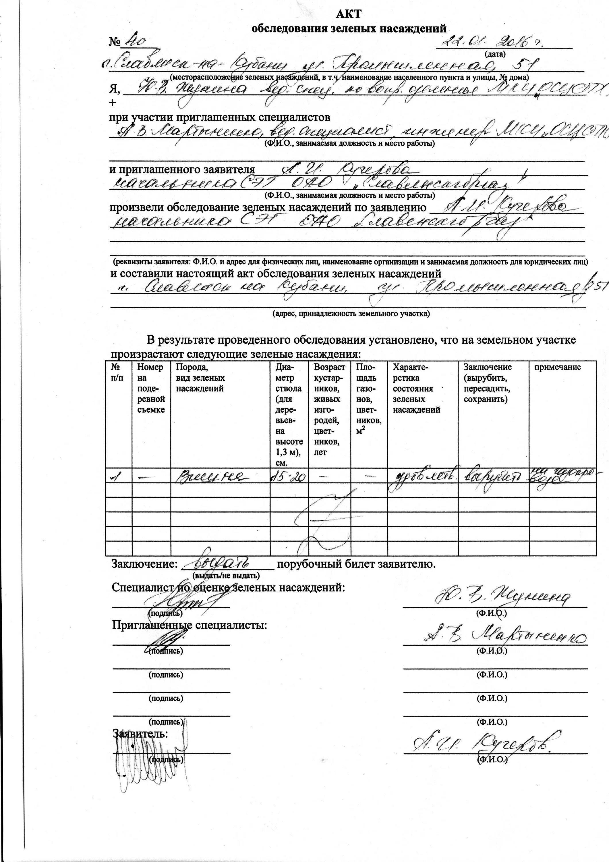 Акт вырубки деревьев. Акт осмотра зеленых насаждений подлежащих вырубке. акт обследования деревьев образец.