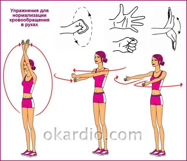 Гимнастику для кровообращения. Гимнастика для улучшения кровообращения. Тренировка для улучшения кровообращения. Упражнения улучшающие кровообращение. Упражнения для улучшения кровоснабжения.