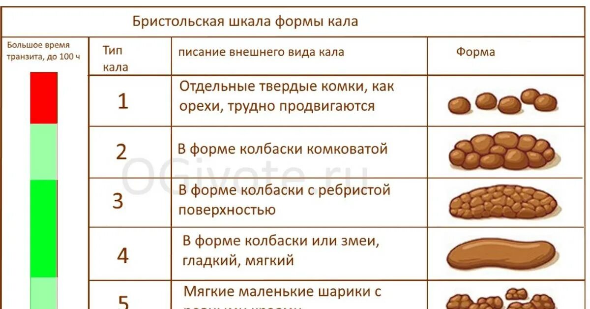 Цвет поноса у собаки. Цвет здорового кала у взрослого. Какой должен быть кал.