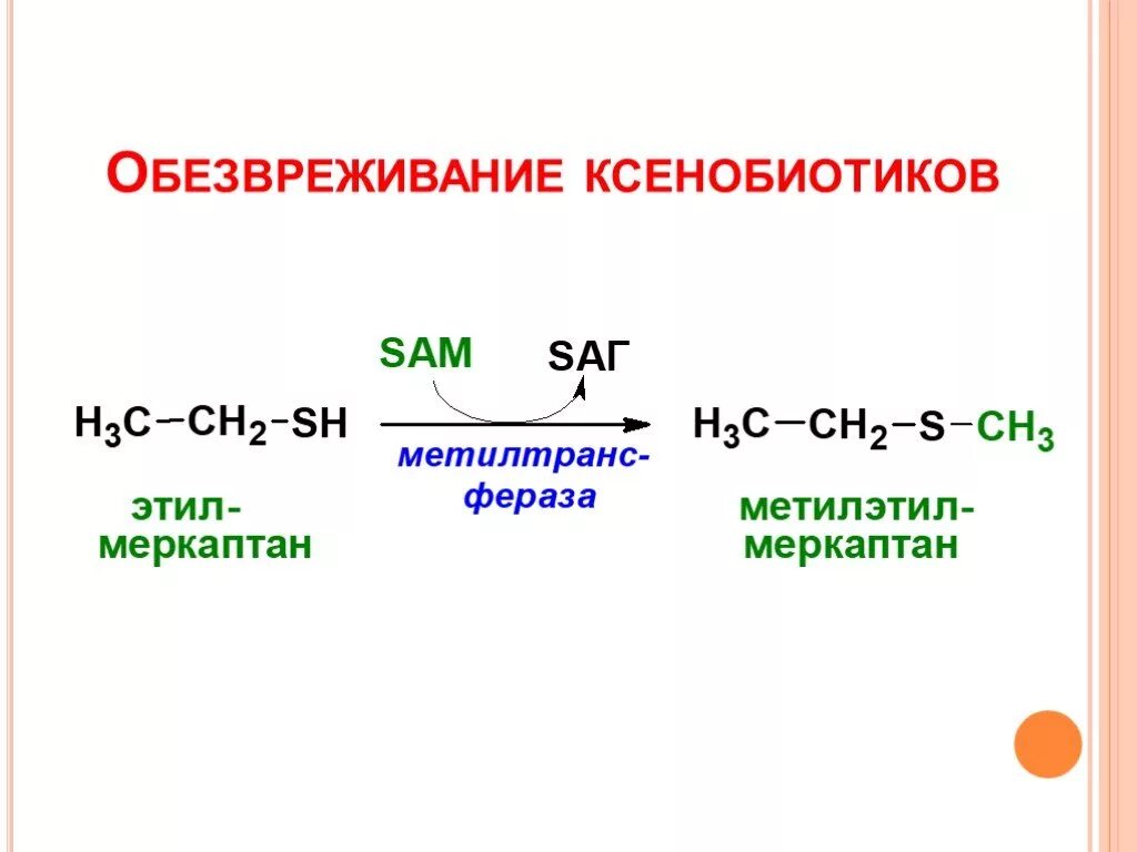 Примеры обезвреживания чужеродных веществ (ксенобиотиков). I фаза обезвреживания ксенобиотиков:. Механизмы обезвреживания ксенобиотиков. Механизмы обезвреживания ксенобиотиков биохимия. В печени обезвреживаются вещества