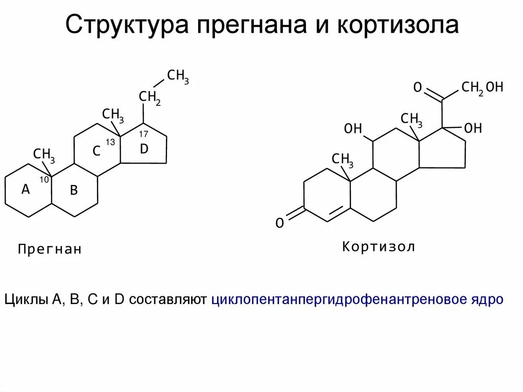 Кортизол в слюне как сдавать. Синтез кортизола. кортизол строение. кортизол химическое строение. кортизол структурная формула.