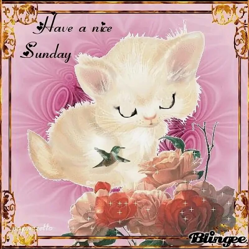 We have a party on sunday. Nice sunday картинки. have a nice sunday картинки красивые. открытка have a nice day. happy sunday gif анимация.