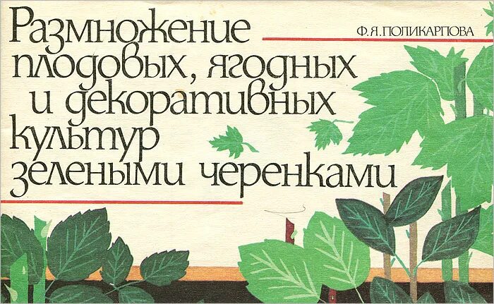 Зеленое черенкование декоративных культур. Размножение растений черенками схема. Размножение плодовых и ягодных культур. Черенкование яблони. Размножение плодовых и ягодных растений.