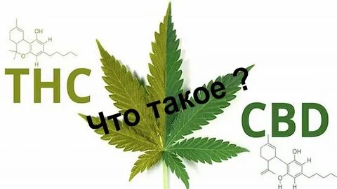 Тгк что это