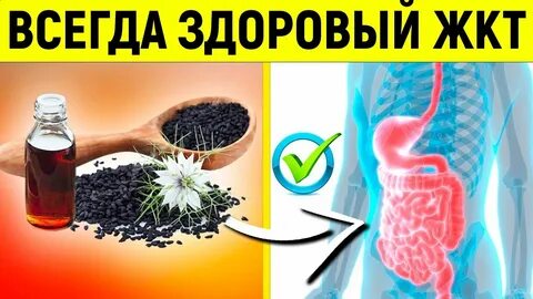 Оздоровление кишечника