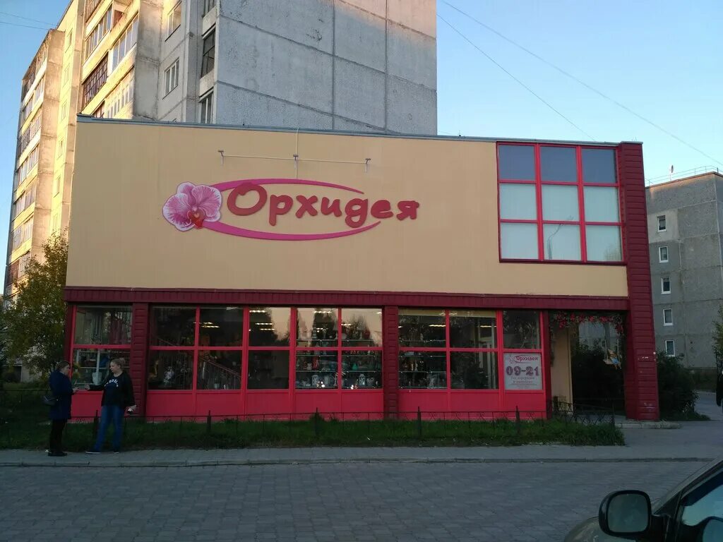 цветы костомукша. цветы костомукша. цветочный островок вологда. цветы костомукша. магазин цветок костомукша.