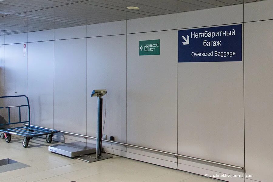 Аэропорт домодедово багаж. Калибратор для багажа s7. Аэропорт домодедово багаж. Упаковка багажа в аэропорту шереметьево. Домодедово ручная кладь.