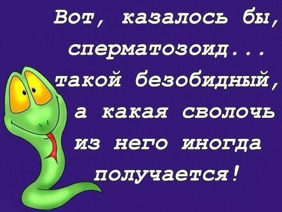 Что такое сволочь. Сволочь. Сволочи картинки. Я сволочь. Я сволочь картинки.