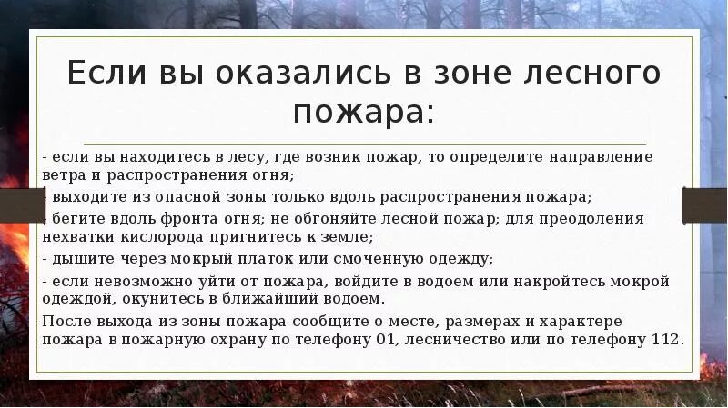 Как выйти из лесного пожара