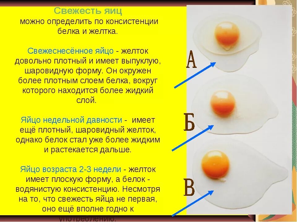 Яйцо с запахом причины. Как проверить яйца на свежесть. желток и белок. яйцо желтка и белка. белок и желток в яйце.