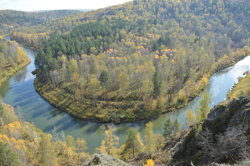 Нсо искитимский. Искитимский район. Искитимский район Новосибирской. Зверобой Новососедово. Искитимский р-он Новосибирская.