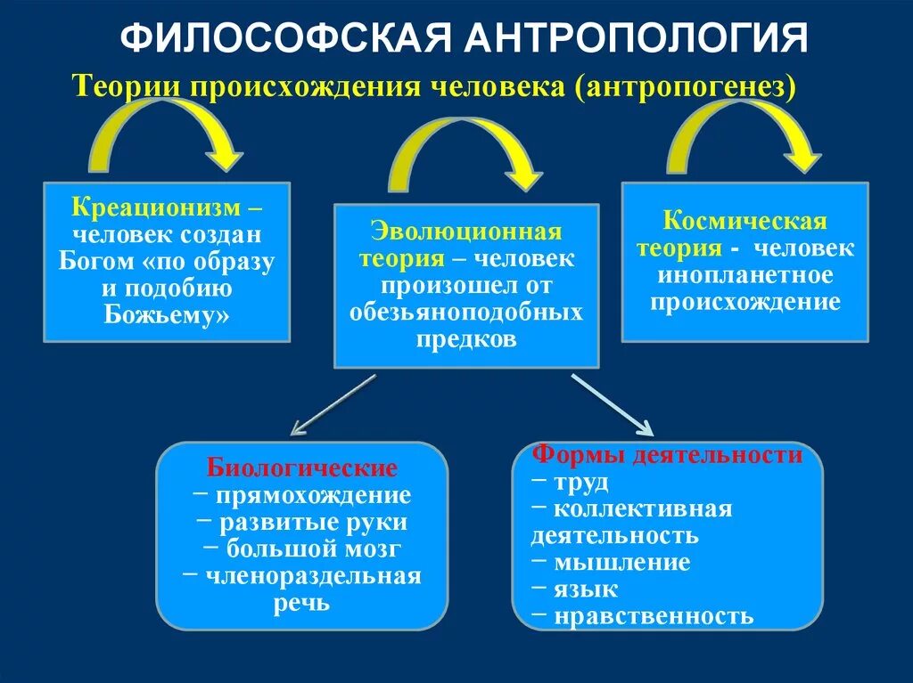 Антропотип это
