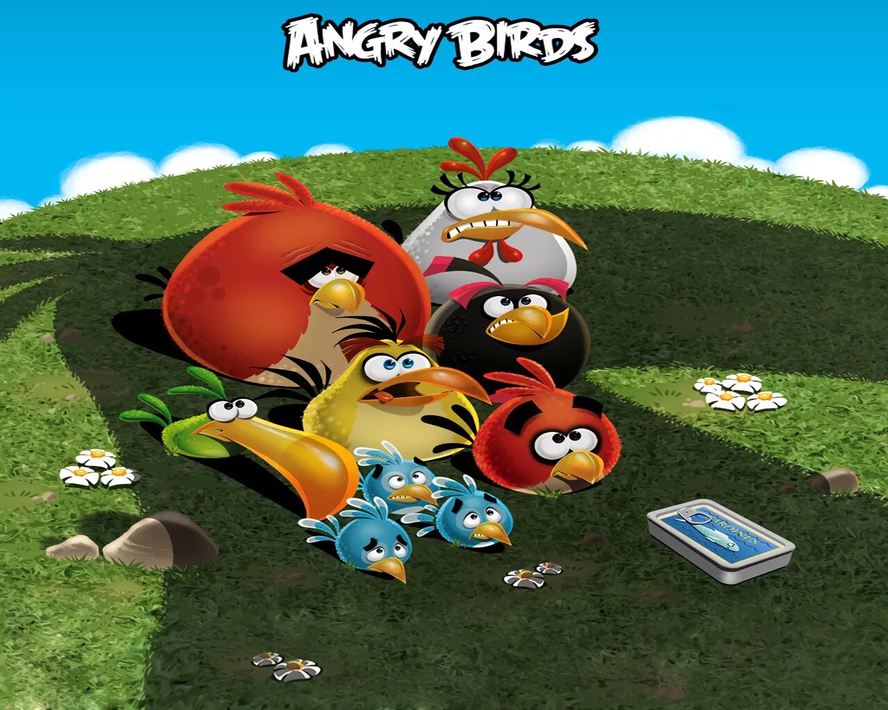 Angry Birds. Angry Birds птицы. Angry Birds (игра).