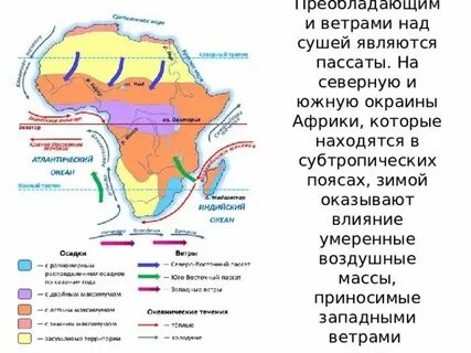 Субтропические господствующие воздушные массы