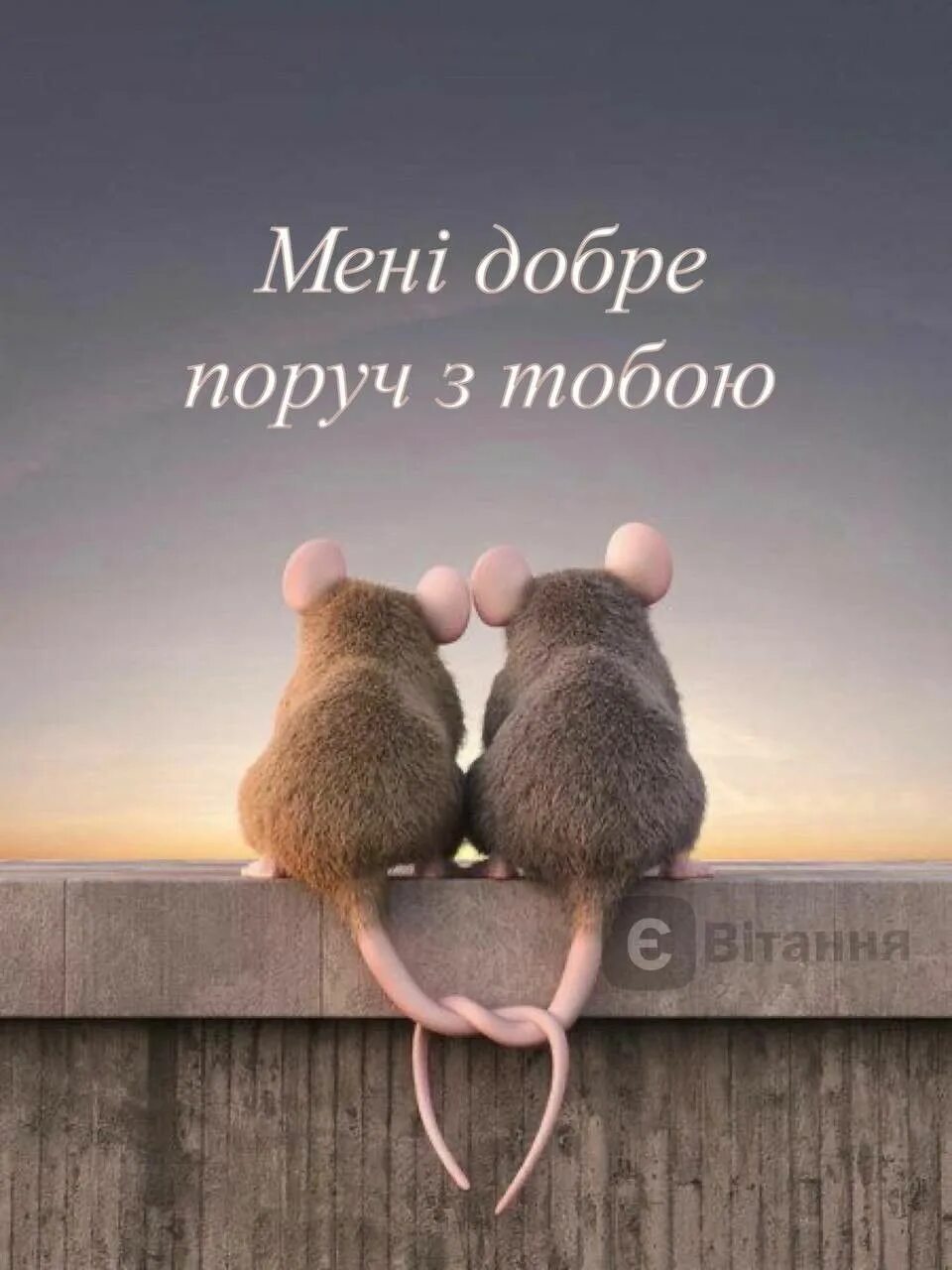 Two mouse. Two mouse