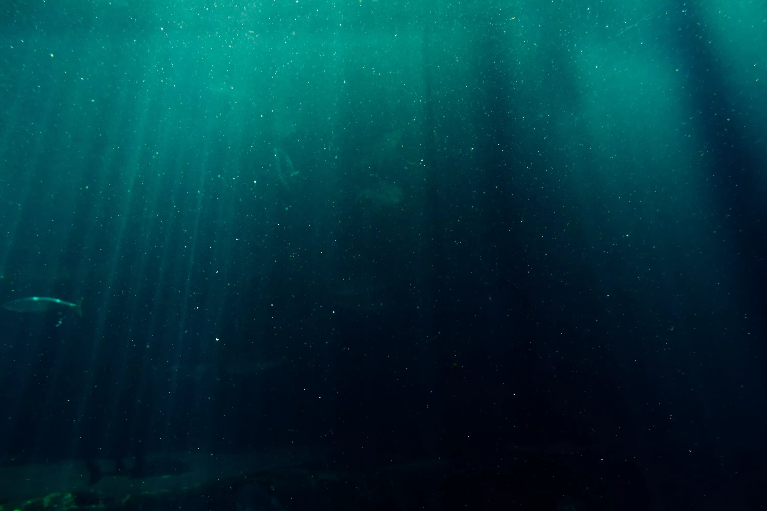 Глубь вод. Океаны. Глубина. Морские глубины. Океан под водой. Темное дно океана.