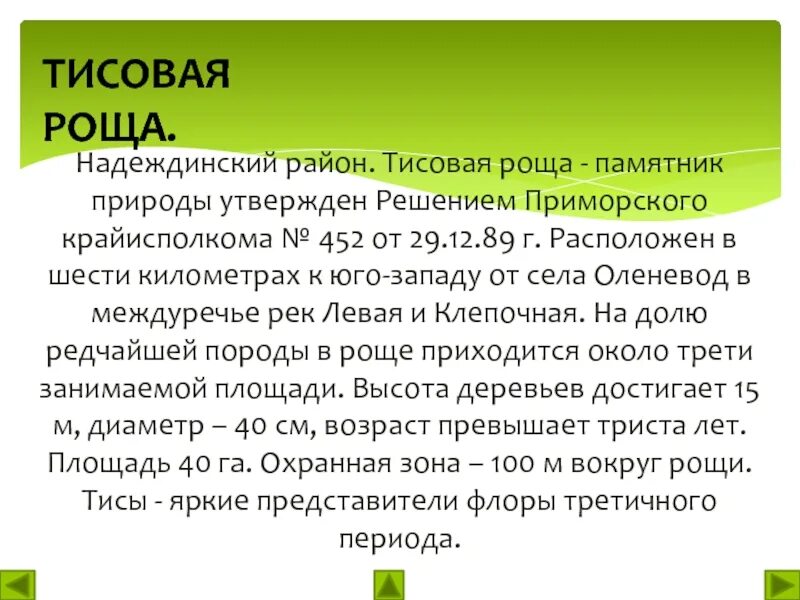 Решение прим. Тисовая роща приморье. тисовые характеристика. сообщение о тисовой роще о.попова приморский край краткое.