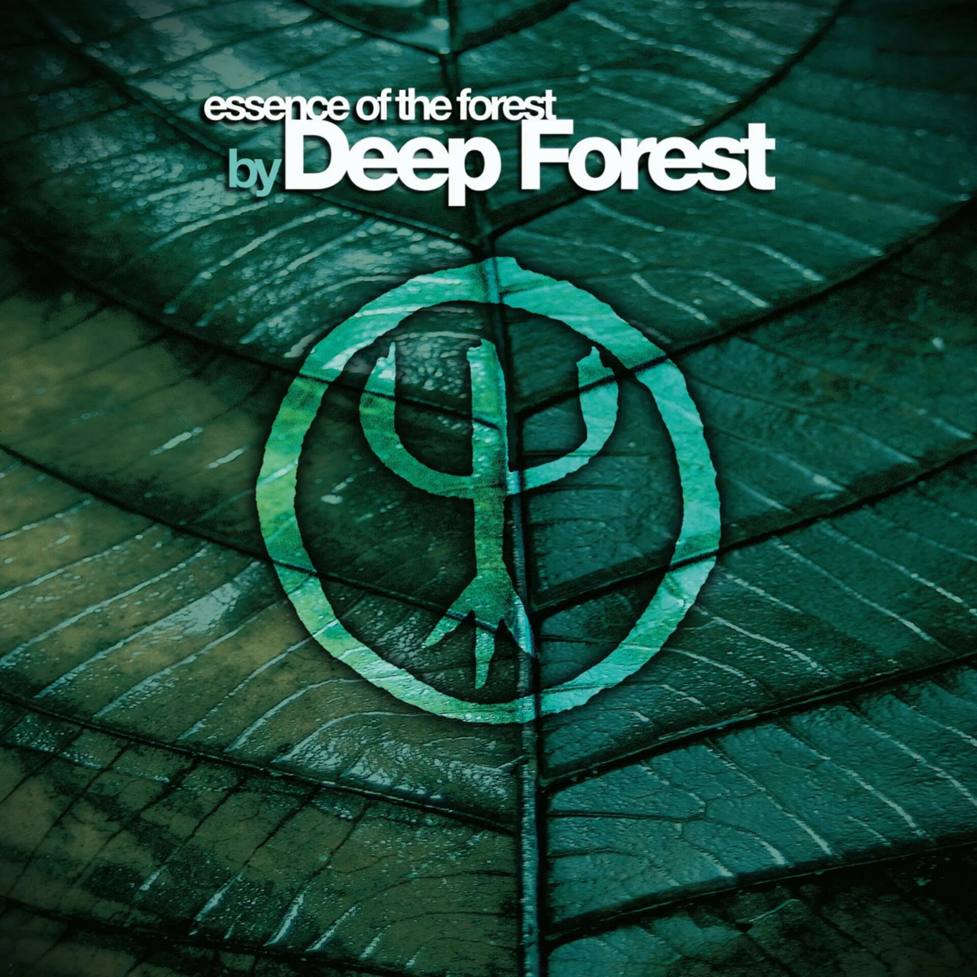 Deep Forest - Essence of the Forest (2004). Deep Forest альбомы. Deep Fire. Deep Forest обложки альбомов. Группа лес песни