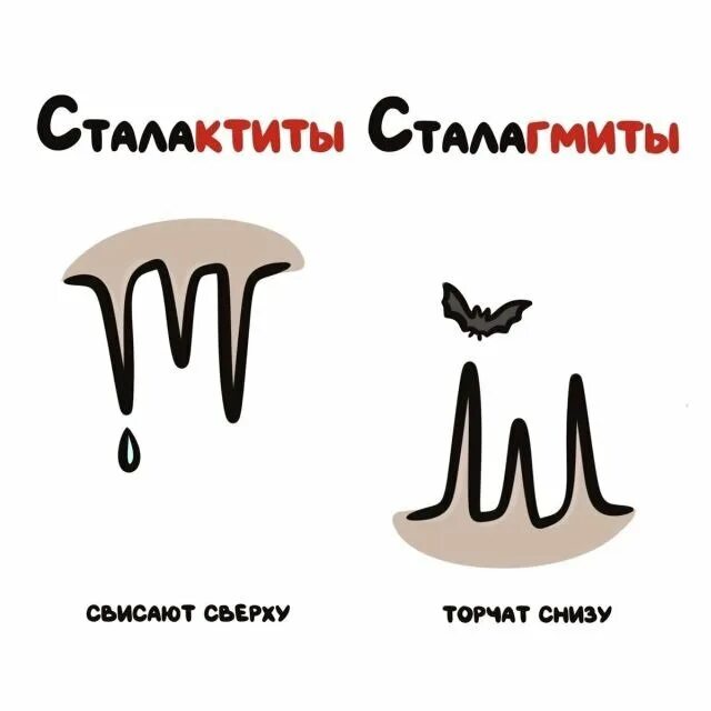 различия похожих вещей и понятий. смешные инсайты. смешные подсказки. смешные подсказки. не перепутай забавные подсказки.