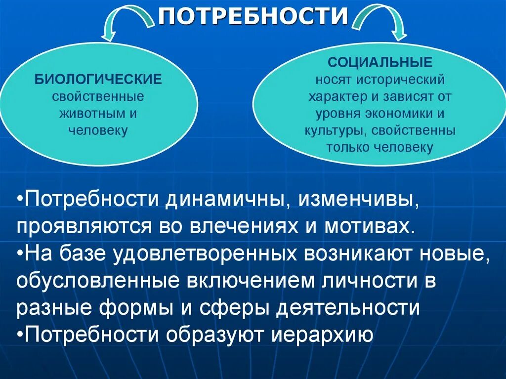 Сколько устанавливают личность. Мотивационно-потребностная сфера личности. Личностная сфера. Человеку, как и животным, свойственны социальные потребности.. Мотивационно-потребностная сфера картинки.