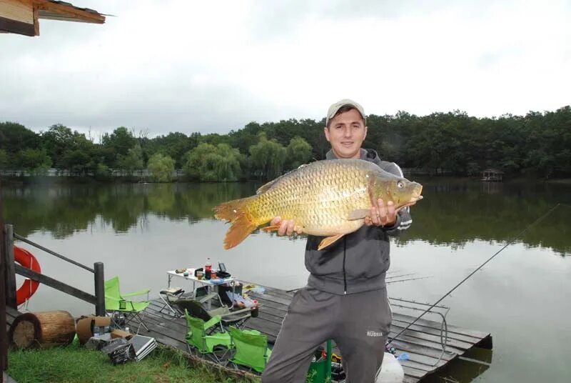 Рыба фэмили. Рыбалка в Балаково. Рыбалка на Fishing Family горячий ключ. Климовское озеро Ярославль рыбалка. Фишинг Фэмили горячий ключ.