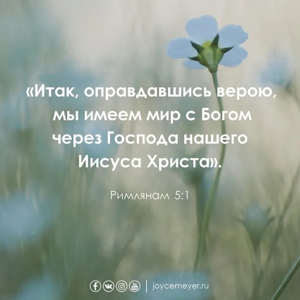 Оправдавшись верою мы имеем мир с Богом. Итак, оправдавшись верою мы имеем. Римлянам 5 1 мы имеем мир с Богом. Библия Римлянам 5.5