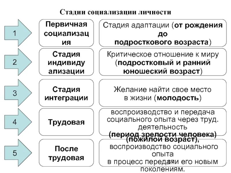 Охарактеризуйте начальный этап. Этапы социализации личности. Этапы социального развития личности. Этапы процесса социализации. Охарактеризуйте стадии развития личности в процессе социализации.