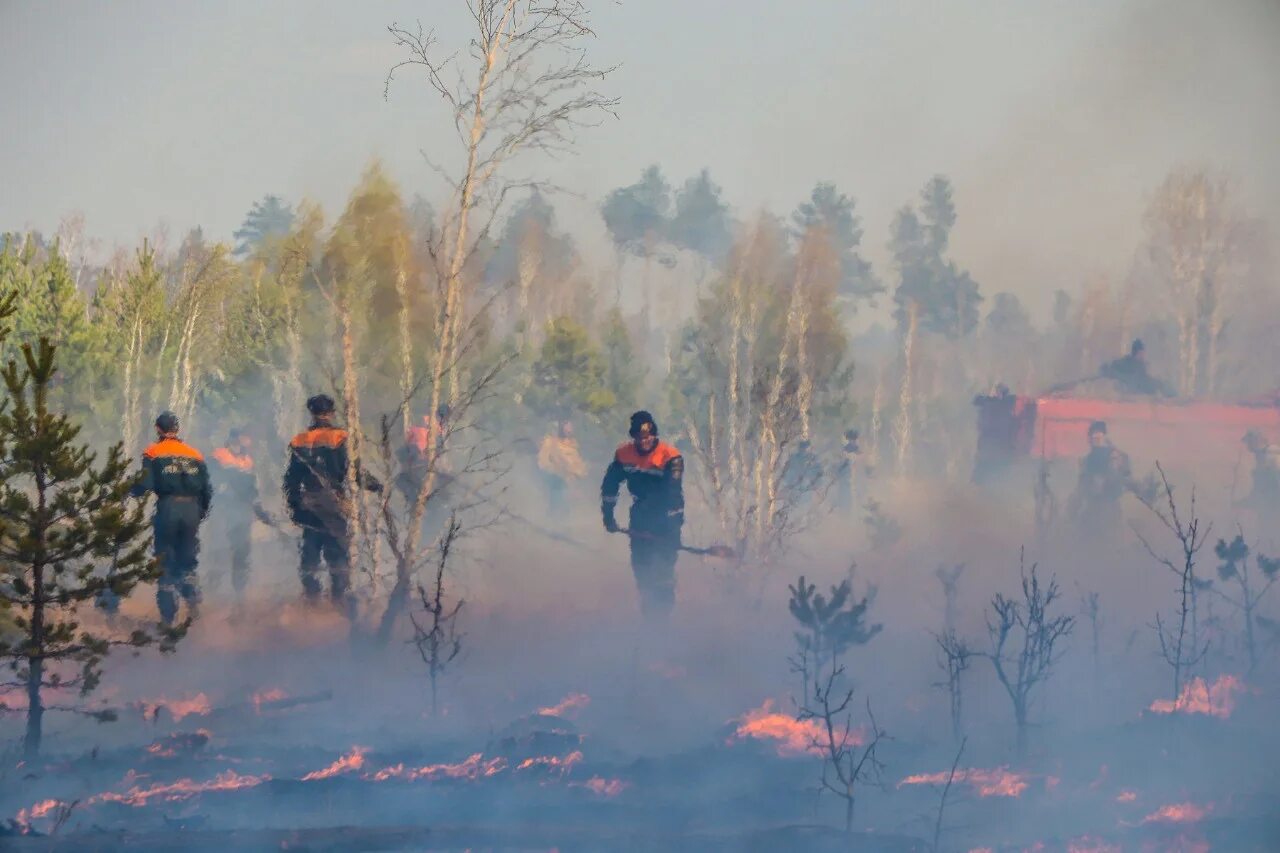 Лесные пожары в Курганской области. Лесные пожары в Курганской области 2023. Пожар Лесной в Курганской области 10.04.23. Лесные пожары Коми 2022.