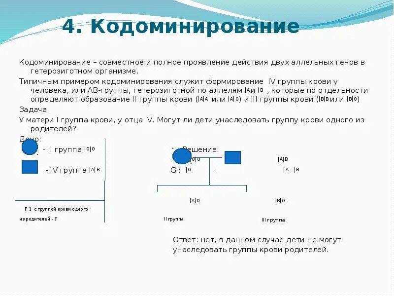 Решение задач на кодоминирование группы крови. Кодоминирование задачи по генетике. Решение задач по генетике на кодоминирование с решением. Генетическая задача на кодоминирование с решением.