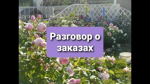 Вокруг роз питомник
