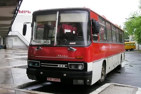 Автовокзал гомель телефон с мобильного