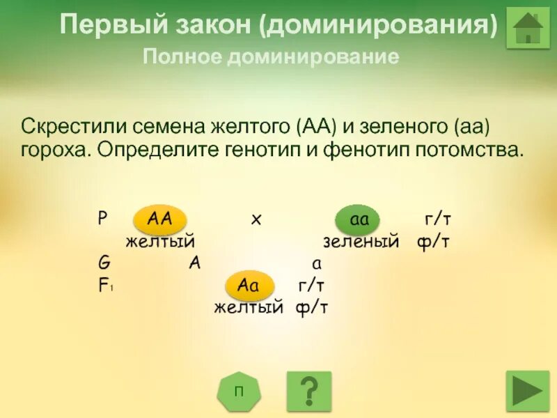 Решение генетических задач. Задачи на генетику. Закон доминирования. Как решать задачи по генетике.