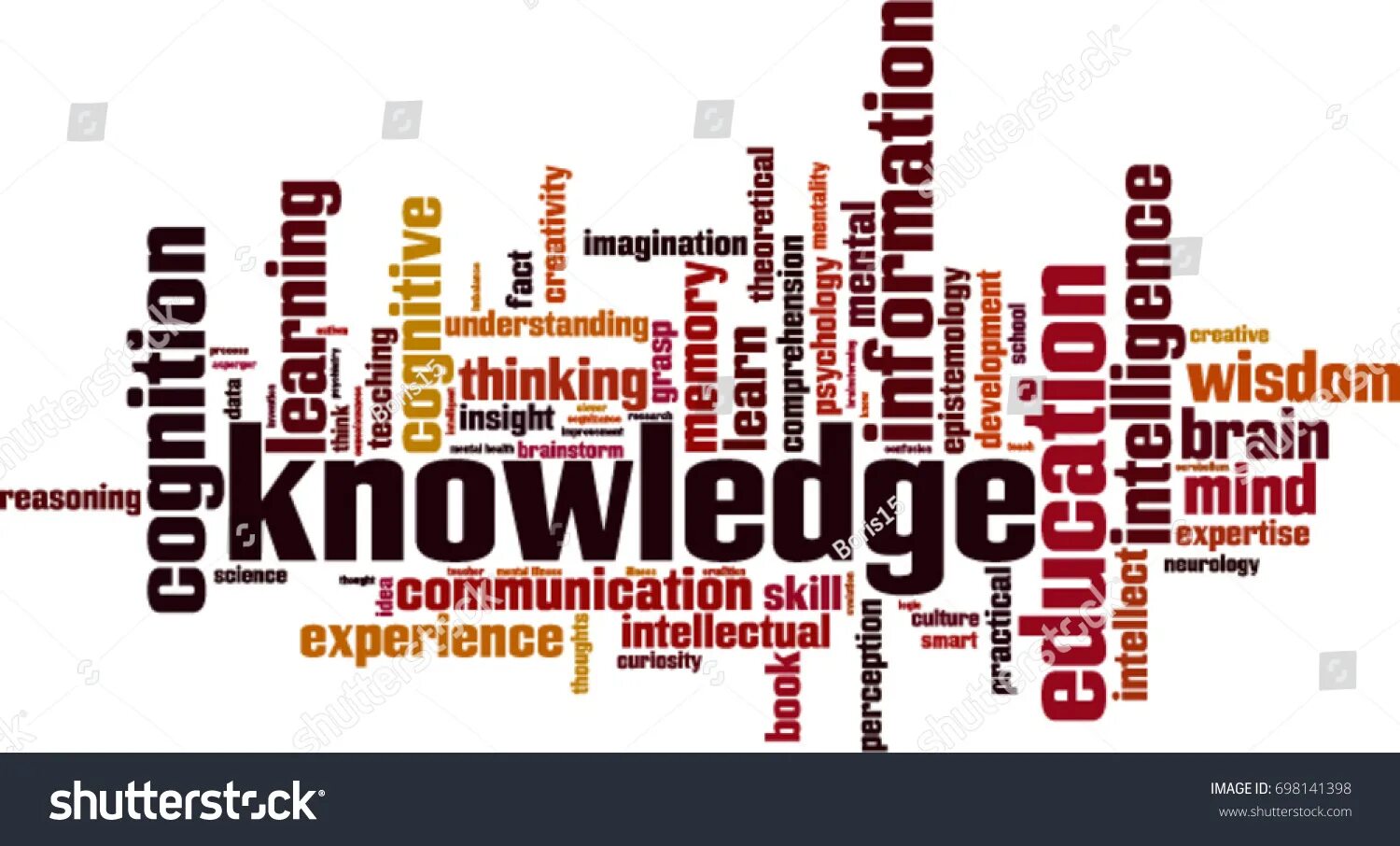 Insight and understanding