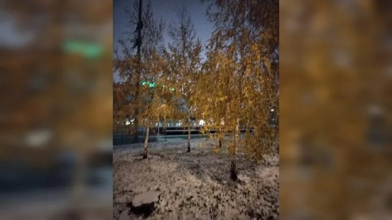 Когда пойдет первый снег в 2025. Когда пойдет первый снег в 2025