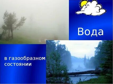 Дерево в газообразном состоянии