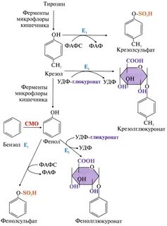 Обезвреживание пищи