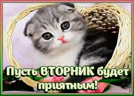 Привет вторник картинки