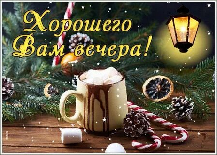 Добрый вечер 1 января 2024 года