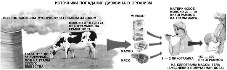 После попадания в организм. Влияние диоксинов на организм человека. Пути поступления диоксинов в организм человека. Источники попадания диоксина. Источники образования диоксинов.